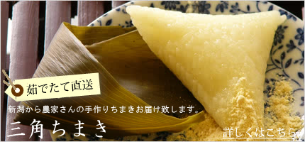ちまき 通販