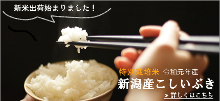 新潟産こしいぶきはこちら