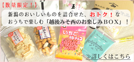 越後みそ西のお楽しみBOX