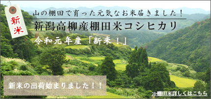 棚田米こしひかりはこちら