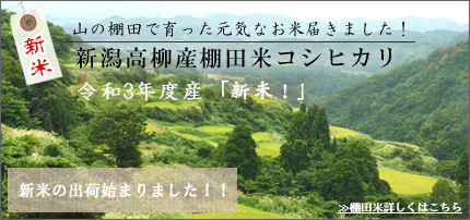 令和3年度産棚田米こしひかりはこちら