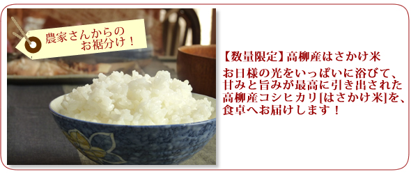 数量限定 高柳産コシヒカリはさかけ米