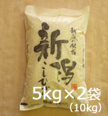 はさかけ米コシヒカリ5s×2袋(10袋)