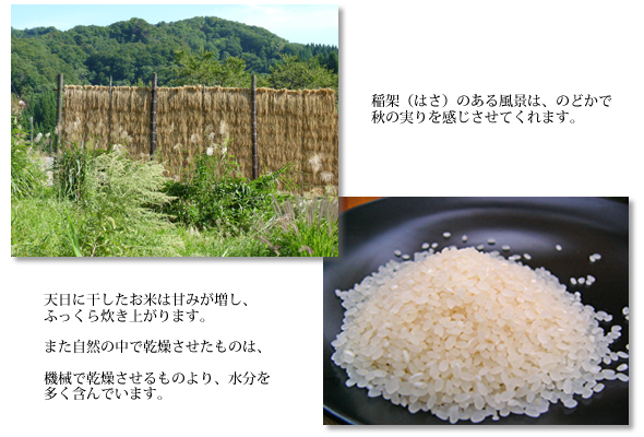 稲架(はさ)のある風景
